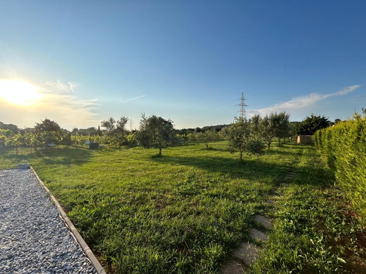 Dora House With Wifi And Outdoor Swimming Pool Βίλα Πούλα Εξωτερικό φωτογραφία